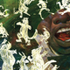 A preview of Francis Vallejo’s art in the Folio Society’s collectors edition of Neil Gaiman’s Anansi Boys. All images: The Folio Society.